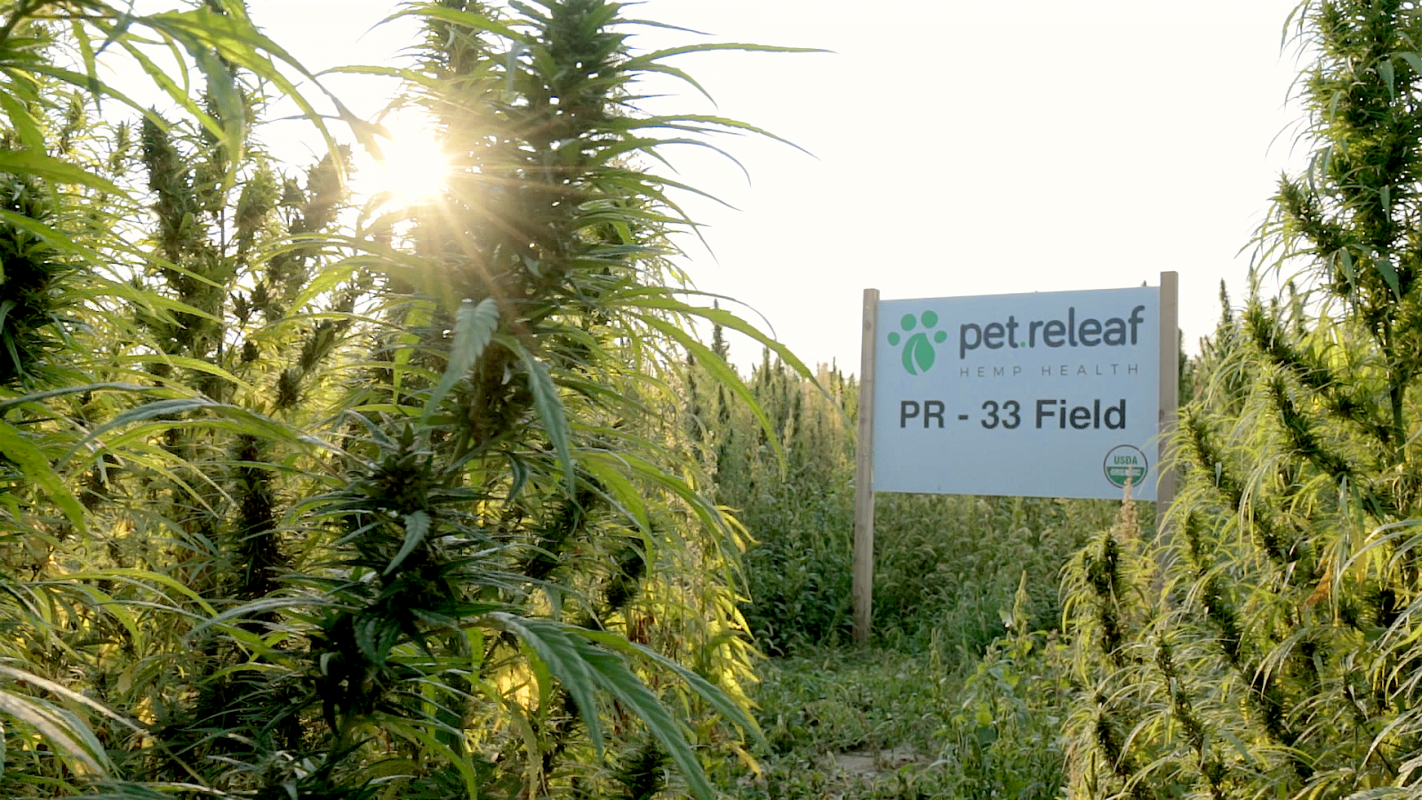 Inside Look at Pet Releaf